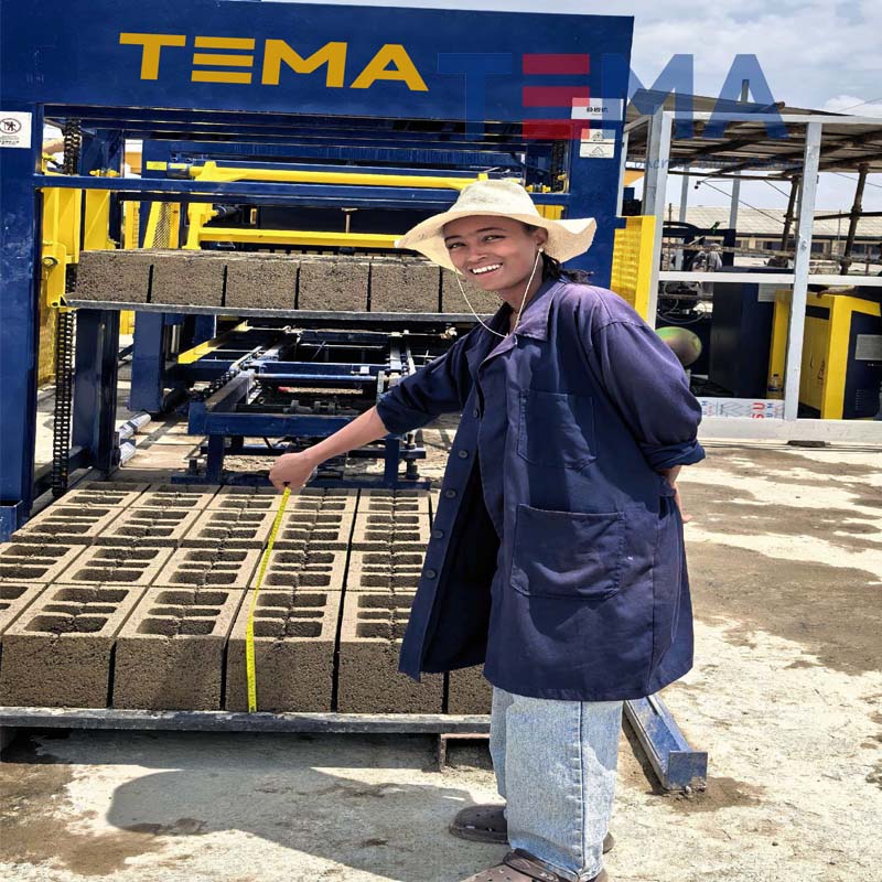 TEMA TM12000 Servo Driven Concrete Block Machine in Ethiopia